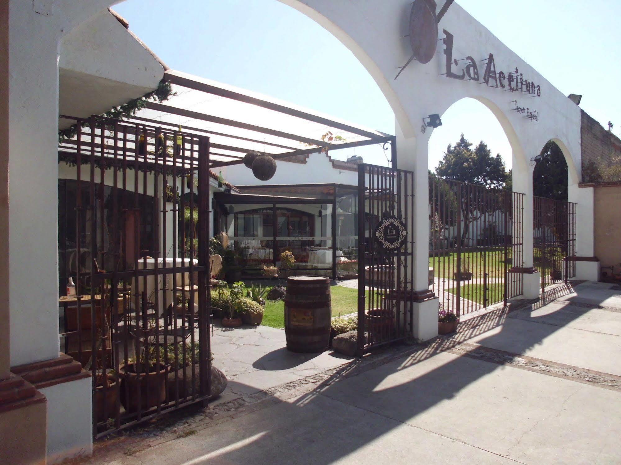 Hotel La Posada Apizaco Eksteriør billede